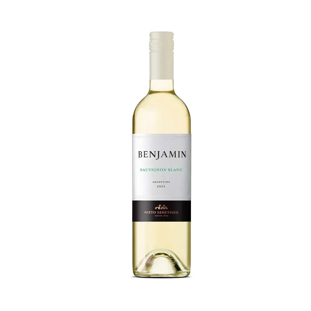 Vino Blanco Benjamin X   750ml Sauvignon Blanc