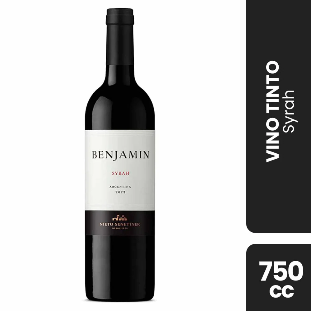 Vino Benjamin 6x  1 750ml Syrah
